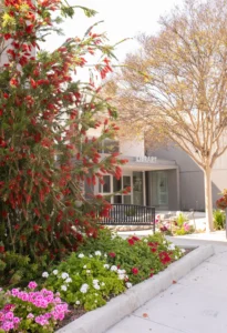 Library entrance with garden view